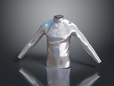 Shiny Silver Long Sleeve Top With Metallic Finish For Daily Use 3d model