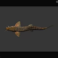 Brownish Patterned Fish With Slender Body Barbels And Yellowish Fins Swimming Isolated On Dark Background