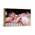 Pink Flamingo Animal Painting With Group Of Standing Birds In Natural Scene 3d model