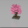 Ornamental Pink Tree with Lush Pink Leaves Brown Trunk on Square Decorative Base