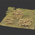 Natural Mushrooms Growing On Wooden Stone Surface With Green Vines And Moss