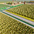Garden Landscape Design With Neat Green Plants Pathways And Open Area