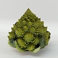 pagoda cauliflower cauliflower buddha head vegetable pagoda flower vegetables fruit food vegetables roman cauliflower 3d model