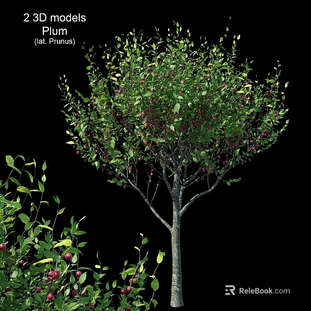Ornamental Decor Combination With Green Leaves Red Berries And Small Shrubs For Indoor 3d model 