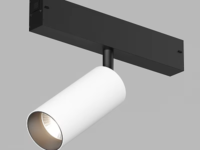 Modern Adjustable Downlight Spotlight With Sleek White Black Finish And Contemporary Design 3d model