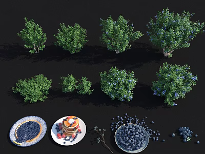 Multiple Blueberry Bushes With Fresh Blueberries In Bowl And Plate With Pancakes 3d model