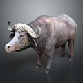 Realistic Gray Buffalo With Large Curved Horns Standing On Dark Background