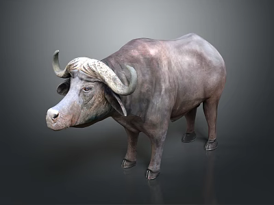 Modern Buffalo Cow Yellow Cow 3d model