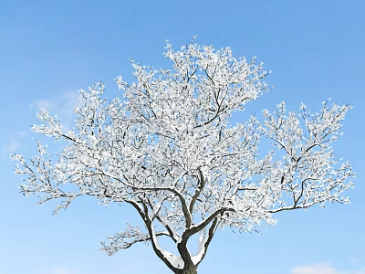 Snow-Covered Tree Branches Against Clear Blue Sky With White Clouds 3d model