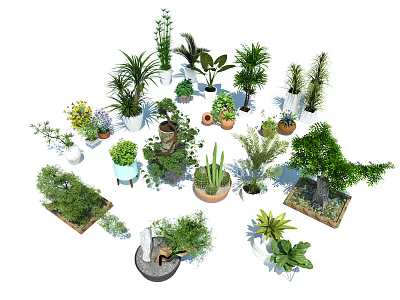 Various Types of Bonsai and Potted Plants in Decorative Pots 3d model