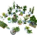 Various Types of Bonsai and Potted Plants in Decorative Pots