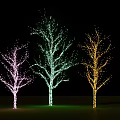Decorative Colorfully Lit Trees With Pink Green Yellow String Lights At Night