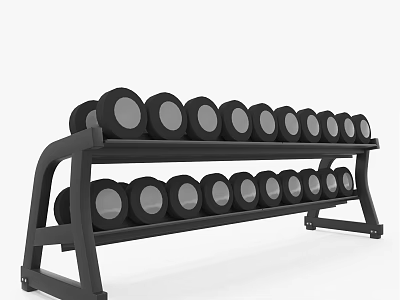 Black Dumbbell Rack With Round Weight Plates Organized In Two Rows For Gym Training 3d model