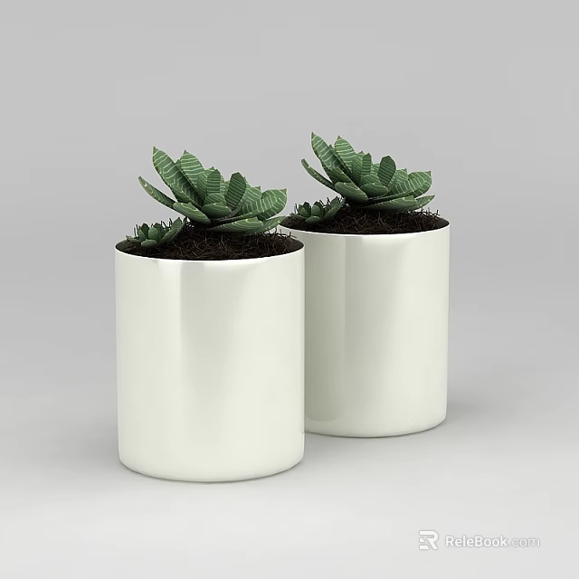 Technology Exhibition Hall Interior With Two White Flower Pots And Green Succulent Plants 3d model 