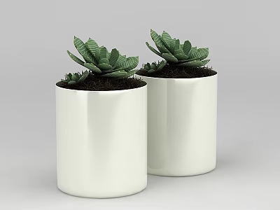 Technology Exhibition Hall Interior With Two White Flower Pots And Green Succulent Plants 3d model