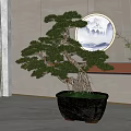 Indoor Chinese Style Bonsai Tree With Exposed Roots In Black Pot And Circular Landscape Painting