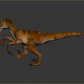 Realistic Orange Brown Velociraptor 3D Model in Standing Pose with Gray Background 3d model