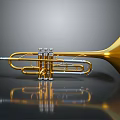 Golden Trumpet Musical Instrument With Shiny Surface Reflection On Dark Background