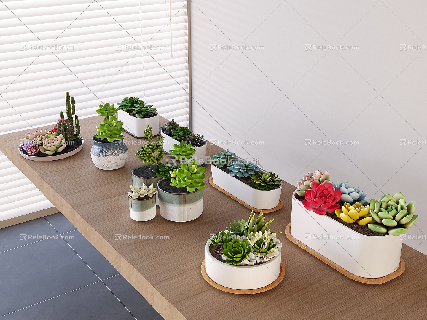 succulent potted plant combination tabletop green plant succulent potted plant 3d model