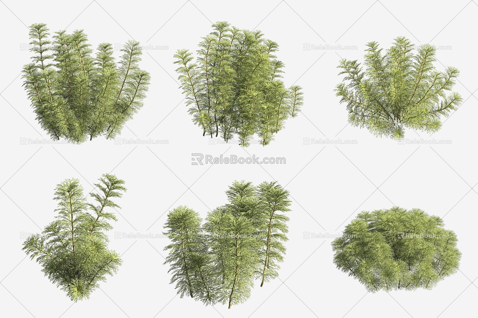 Big Pagoda Grass Aquatic Plants 3d model