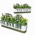 Colorful Bonsai Potted Plants in Rectangular White Dotted Containers with Green Edges and Mixed Greenery
