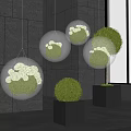 Indoor Landscape With Hanging Transparent Spheres Green Plants White Flowers Floor Shrubs Black Cube Planters