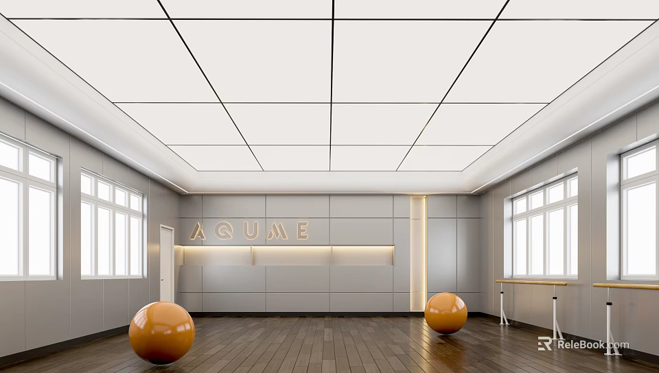 Spacious Fitness Studio AQUME with Orange Exercise Balls Wooden Floor and Large Windows 3d model 