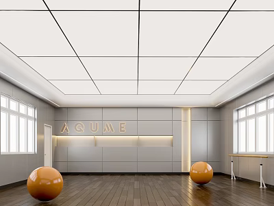Spacious Fitness Studio AQUME with Orange Exercise Balls Wooden Floor and Large Windows 3d model
