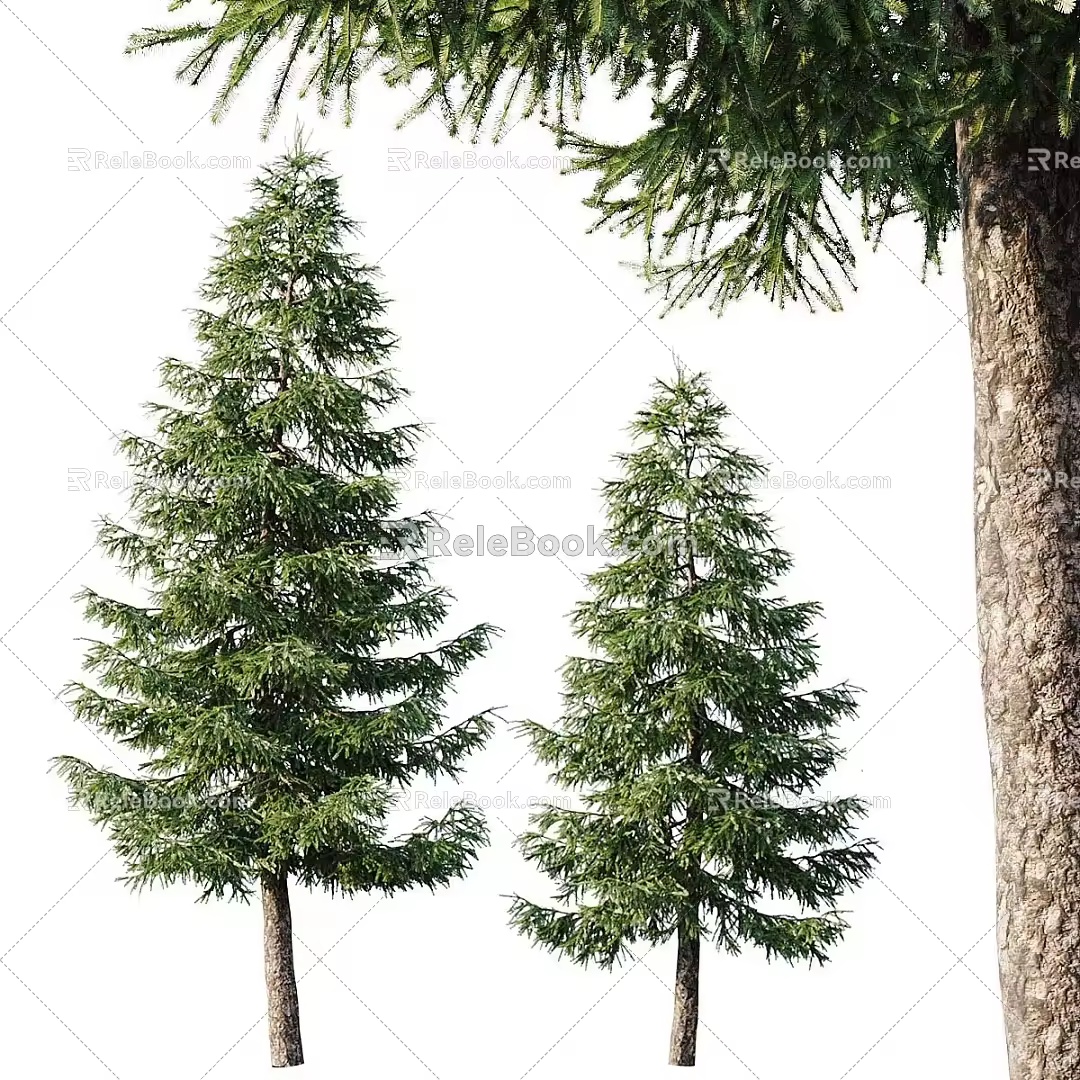 Modern Landscape Trees Trees Poplar Maple Pine Trees Big Trees Tropical Trees 3d model