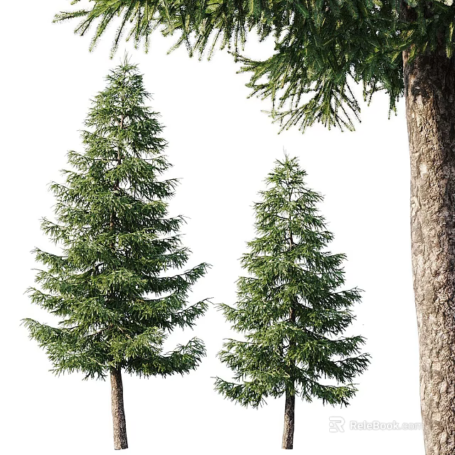 Green Shrub Plants With Different Sizes Lush Foliage And Sturdy Trunks 3d model 