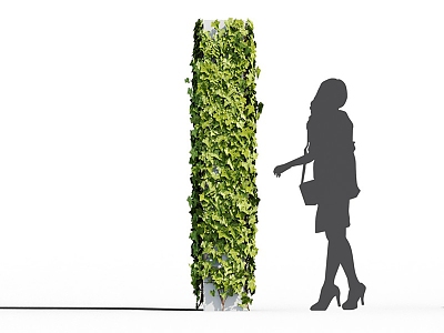 Modern Ivy Climbing Vine 3d model