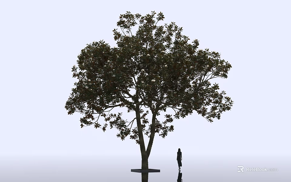 Tall Arbor Tree With Lush Green Leaves Standing Near Human Figure Against Plain White Background 3d model 