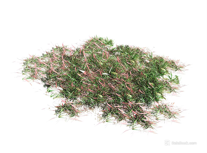 Green and Pink Grass Like Plants in Irregular Cluster Shape on White Background 3d model 