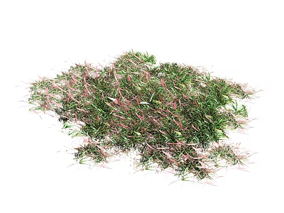 Green and Pink Grass Like Plants in Irregular Cluster Shape on White Background 3d model