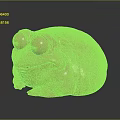 Golden Rounded Frog Sculpture Featuring Large Eyes Smooth Surface And Reflective Base 3d model