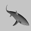 Realistic Great White Shark 3D Model Swimming Against Blue Background With Detailed Features