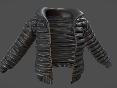 Black Puffer Jacket with Hooded Quilted Design and Zipper Closure Modern Style 3d model