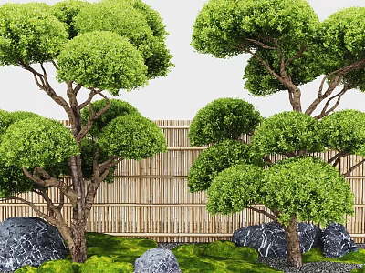 Stone Tree Pits With Well Trimmed Trees Bamboo Fence And Green Plants In Garden 3d model