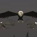 Majestic Eagles Spreading Wings in Different Flying Poses Against Gray Background 3d model