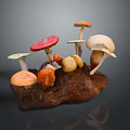 Colorful Mushrooms Growing on Natural Wood Log with Various Sizes and Shapes