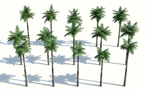 Modern Palm Tree 3d model