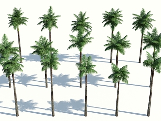 Modern Palm Tree 3d model