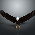 Modern Eagle Eagle Carving Like Eagle Statue Eagle Carving 3d model