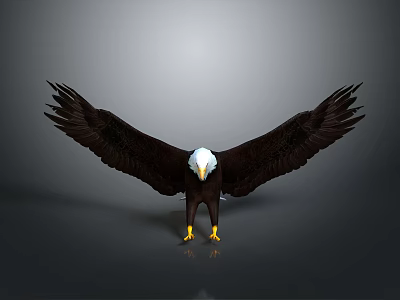 Majestic Eagle With Spread Black Wings White Head And Yellow Talons On Reflective Surface 3d model