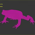Detailed Colorful Toad With Red Brown Markings On Gray Background