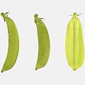 Fresh Green Pea Pods One Opened Showing Tender Peas Inside Healthy Vegetable Food