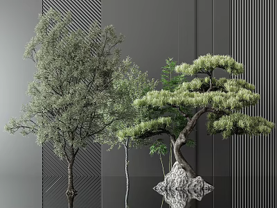 Modern Garden Decor With Pine Tree Green Plant And Reflection Against Grey Vertical Striped Wall 3d model