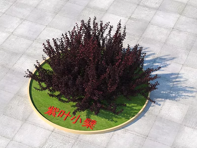 Purple Leaf Shrub Berberis Thunbergii On Circular Green Lawn With Golden Border 3d model