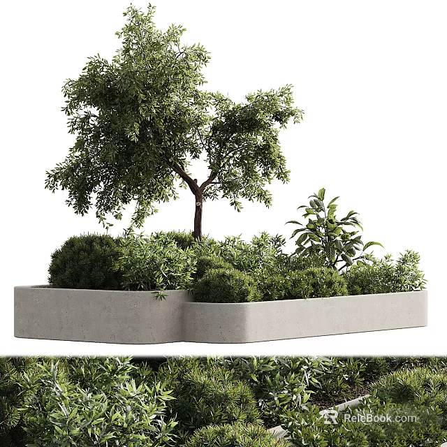Concrete Planter With Tree And Various Lush Green Plants Arrangement 3d model 