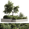Concrete Planter With Tree And Various Lush Green Plants Arrangement